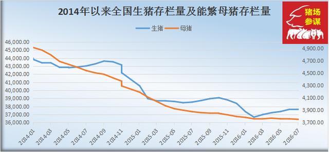 安化最新猪价，市场趋势、影响因素及未来展望