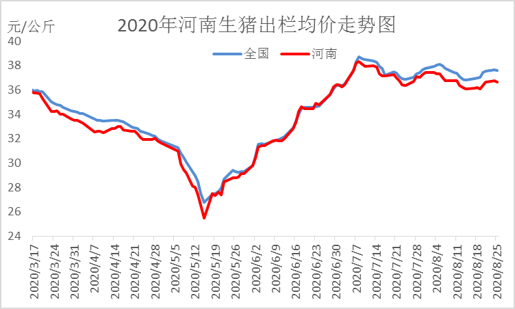 猪价河南最新，市场波动背后的原因与影响分析