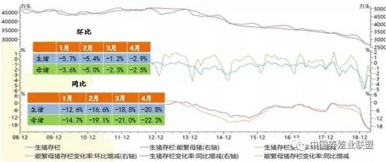 叶县最新猪价，市场波动与影响因素分析