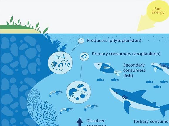 天山生物最新利好，生态恢复与生物多样性的共赢