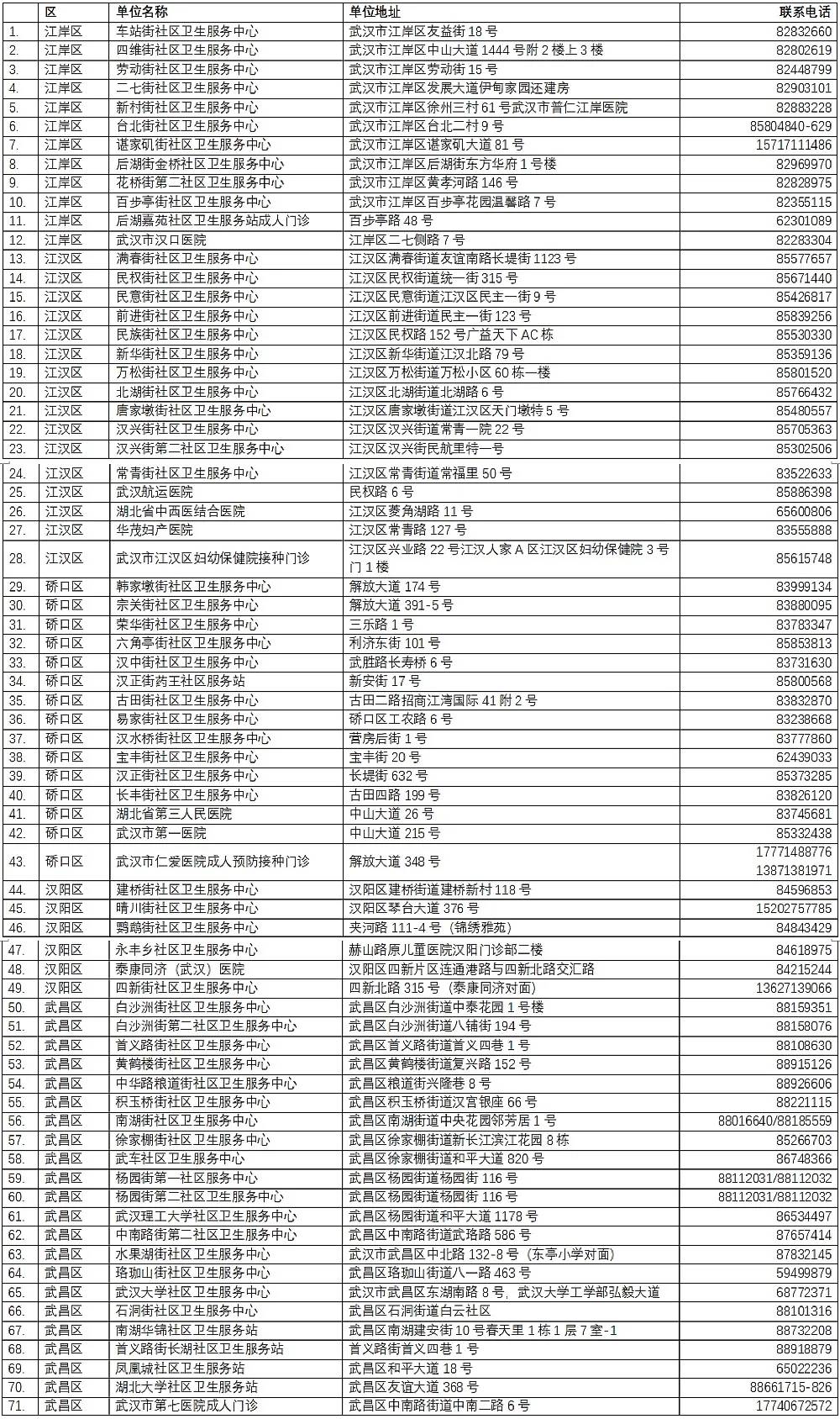 武汉最新丽琴，城市新乐章的悠扬旋律