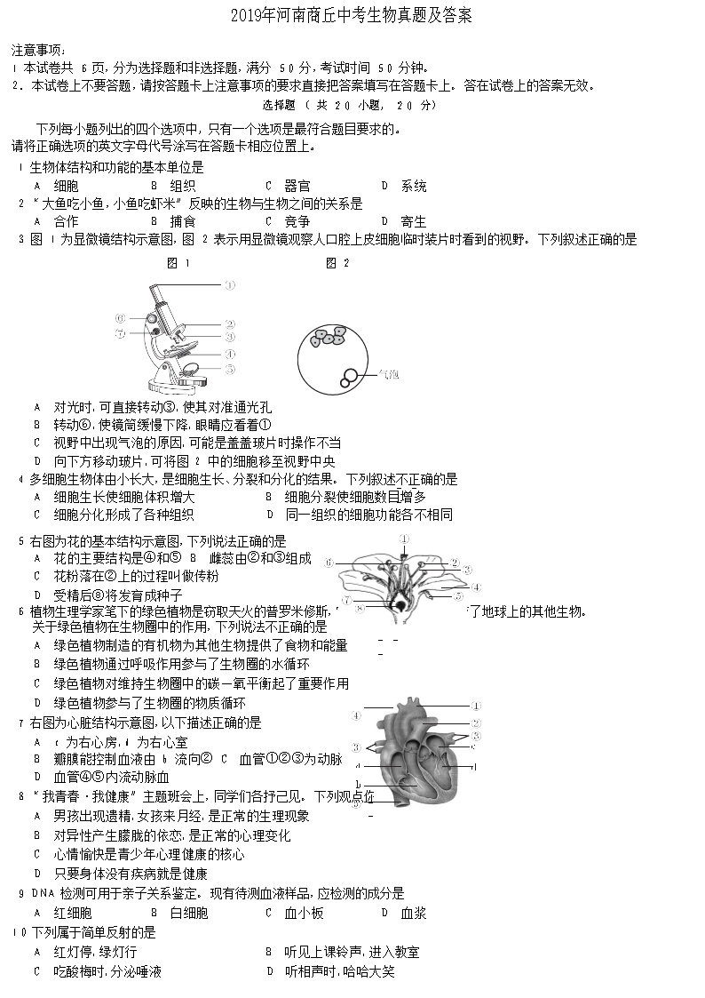 剑桥真题最新，解锁英语考试的金钥匙