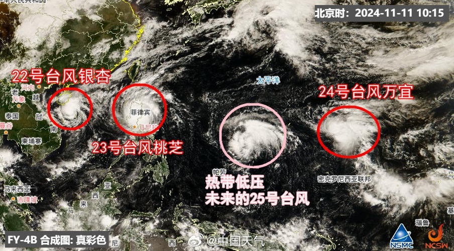 最新台风浪卡的动向与影响分析