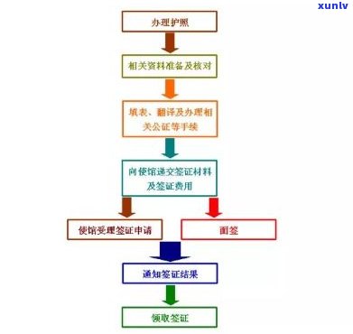 中国签证最新版，政策调整、申请流程与注意事项详解